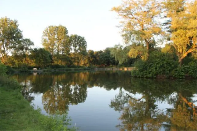 Iglo Bungalow 22 * Chaam